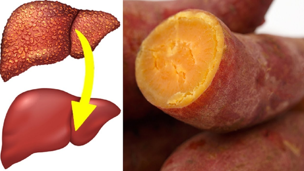 انواع گرید کبد چرب