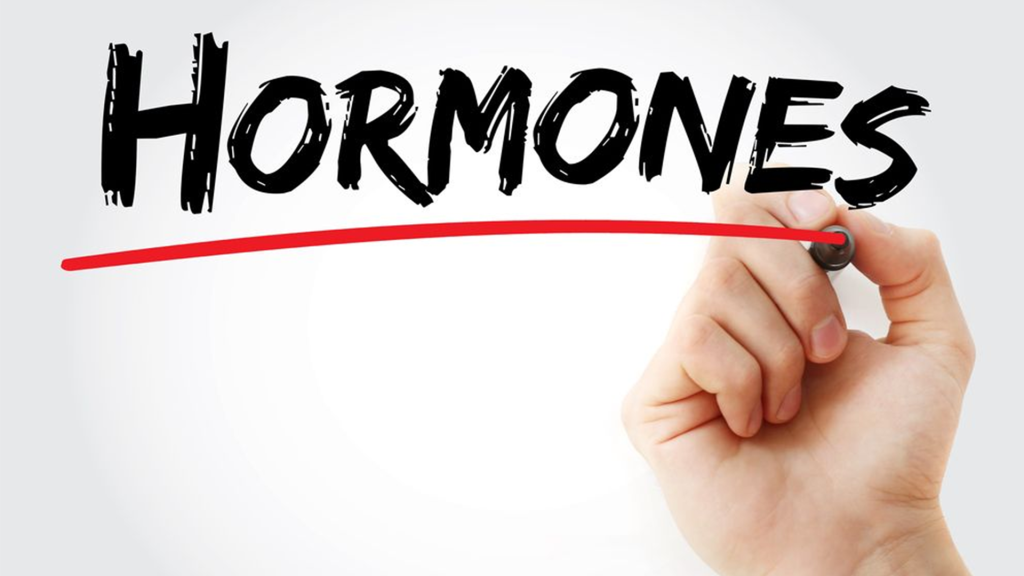 هورمون استروژن چیست