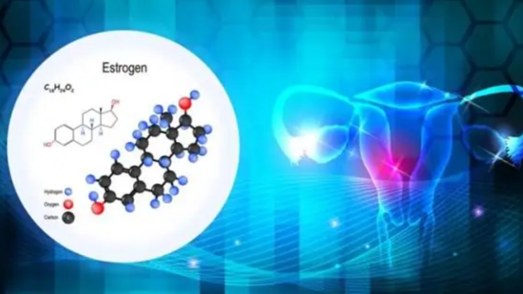 هورمون استروژن چیست