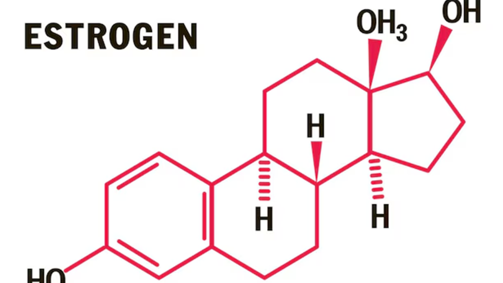هورمون استروژن چیست
