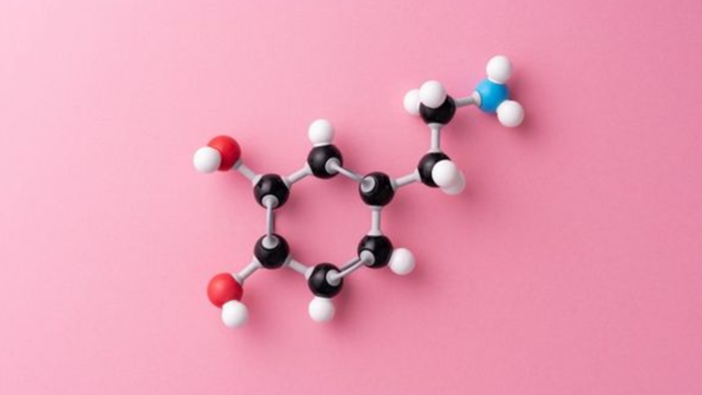 هورمون استروژن چیست