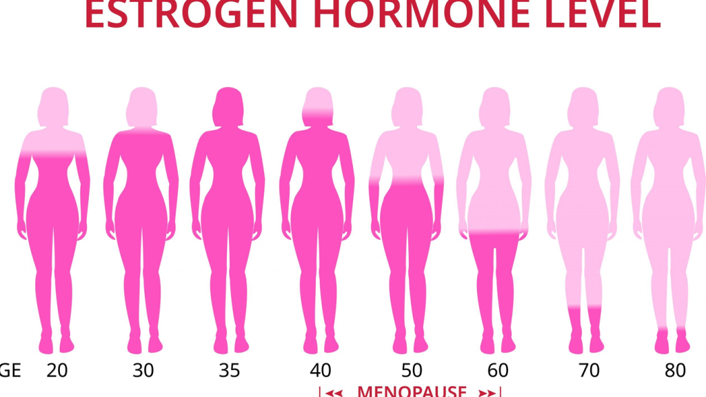 هورمون های زنانه