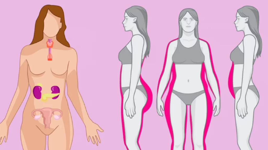 هورمون های زنانه