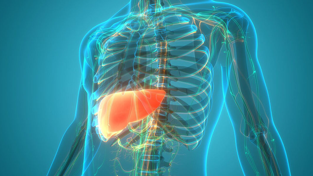 درمان کبد خشک و گرم