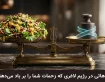 23 اشتباه در رژیم لاغری که زحمات شما را بر باد می‌دهند |چرا لاغر نمی‌شوم؟