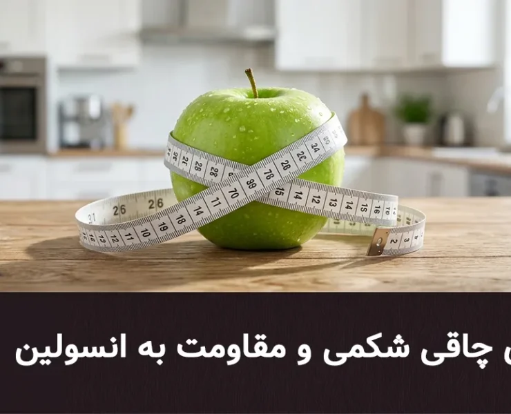 علت‌های چاقی شکمی و مقاومت به انسولین